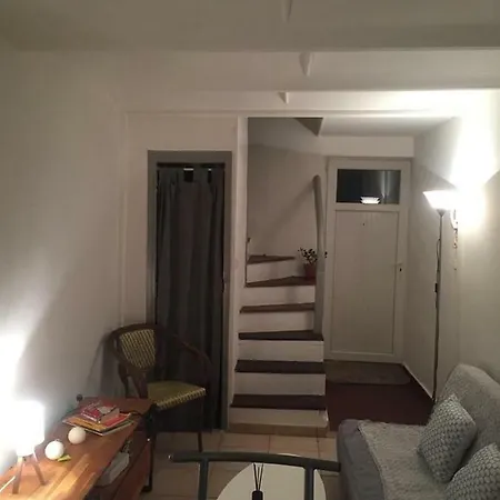 公寓 Petit 30 M2 Au Coeur De *